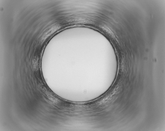 X0000087370873200705111708