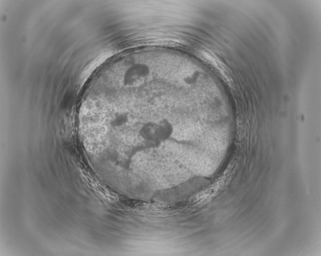 X0000087370875200705111708