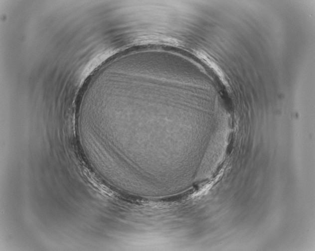 X0000087370877200705111708