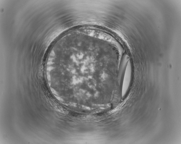 X0000087370879200705111707