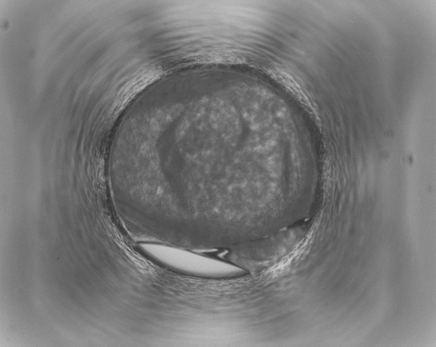 X0000087370881200705111707