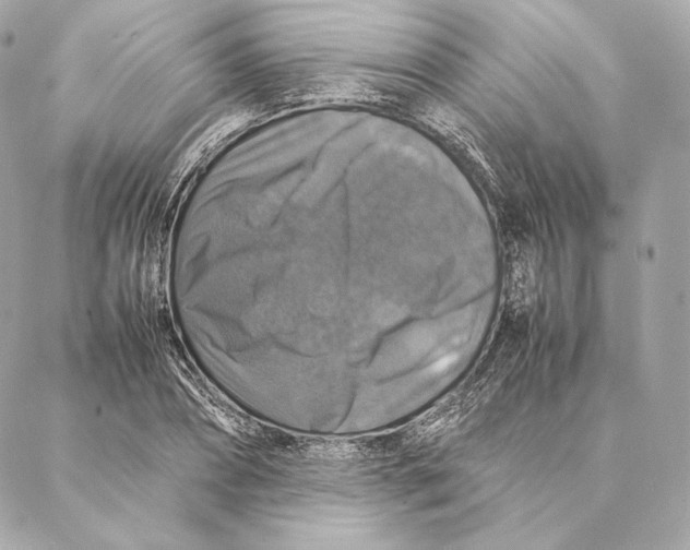 X0000087370882200705111707