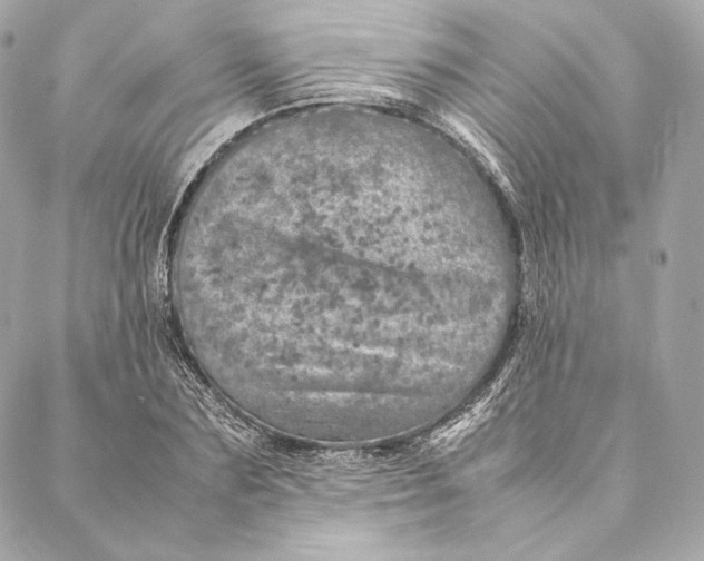 X0000087370883200705111707