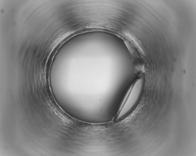 X0000087370884200705111707