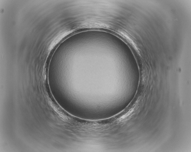 X0000087370885200705111707