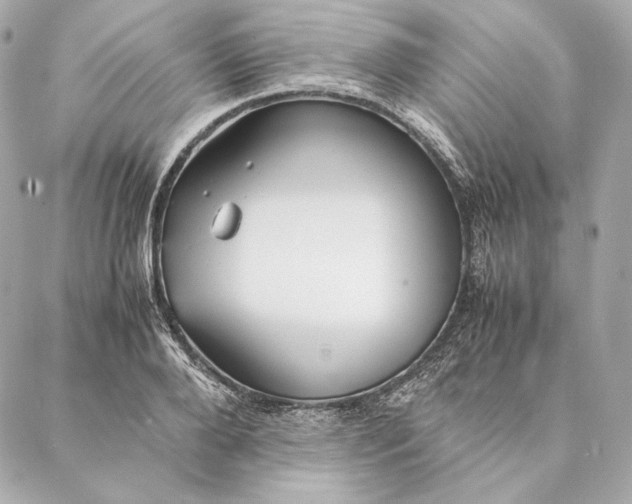 X0000087370888200705111707