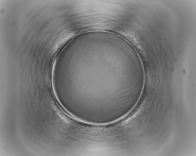 X0000087370889200705111707