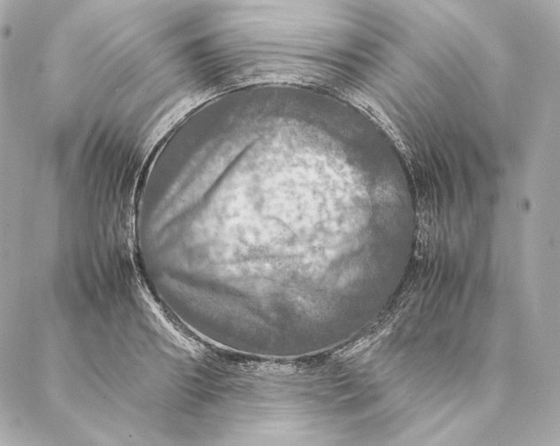 X0000087370890200705111707