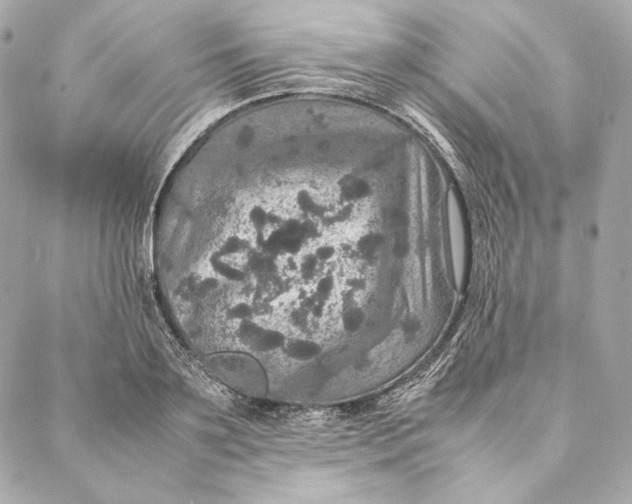 X0000087370891200705111707