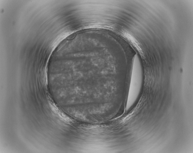 X0000087370892200705111707