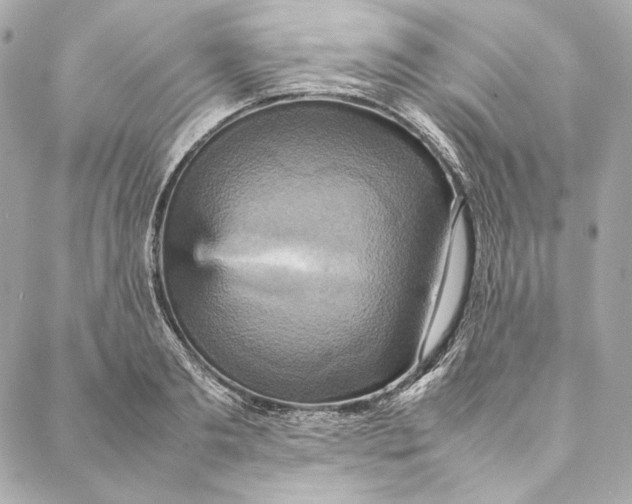 X0000087370893200705111707