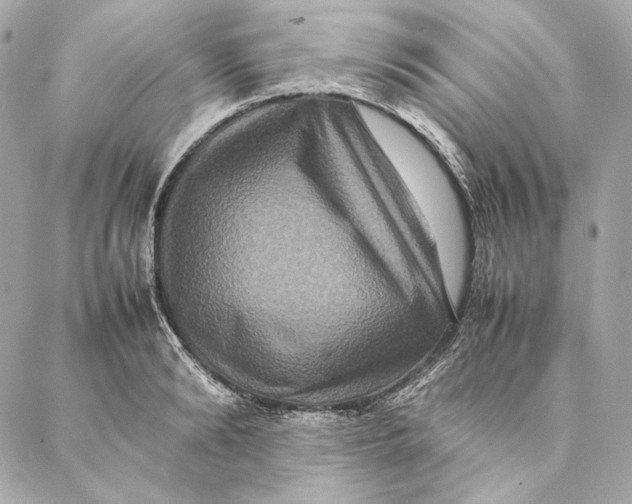 X0000087370894200705111707