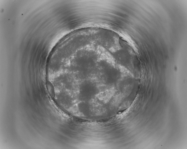 X0000087370896200705111707