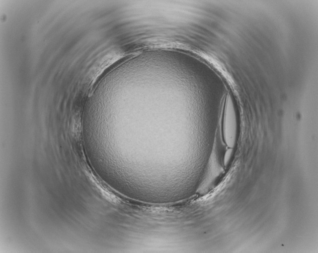 X0000087370897200705111707