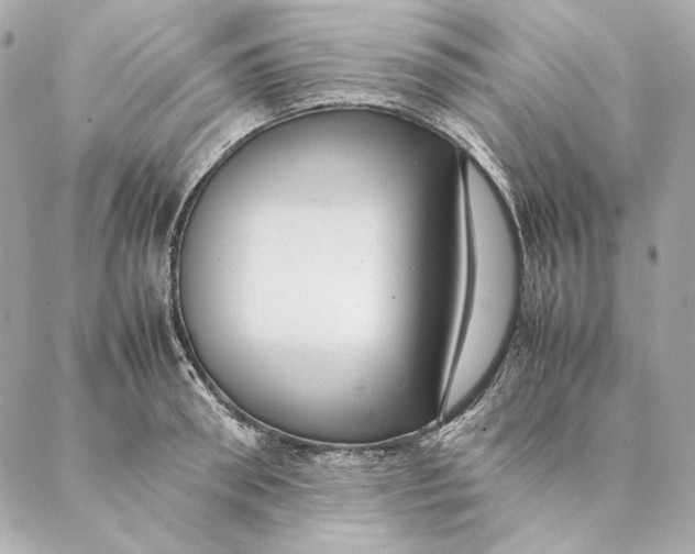 X0000087370898200705111707