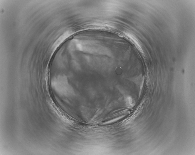 X0000087370899200705111707