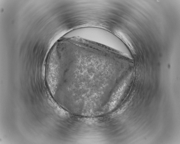 X0000087370900200705111707