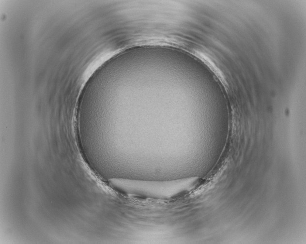 X0000087370901200705111707