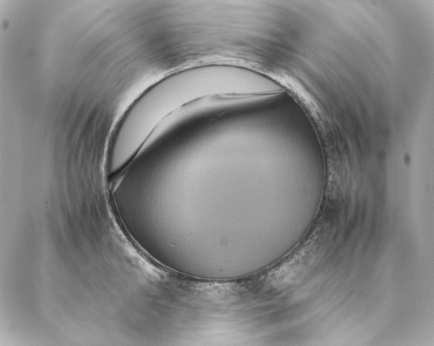 X0000087370902200705111707