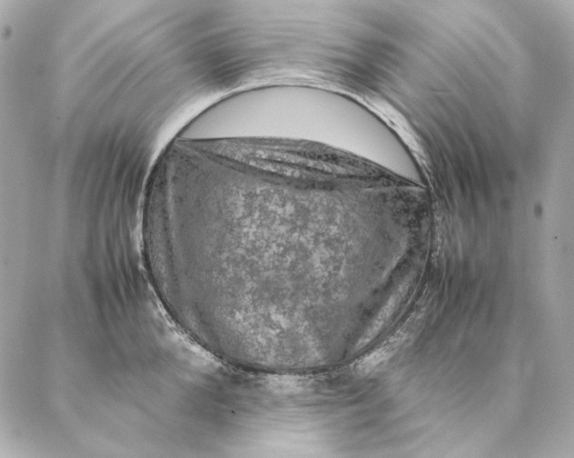 X0000087370904200705111707