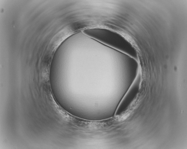 X0000087370905200705111707