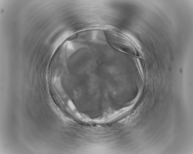 X0000087370907200705111707