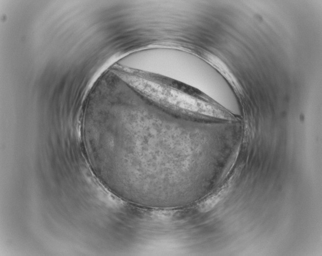 X0000087370908200705111707