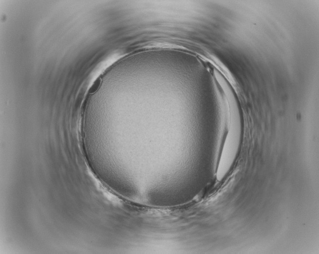 X0000087370909200705111707