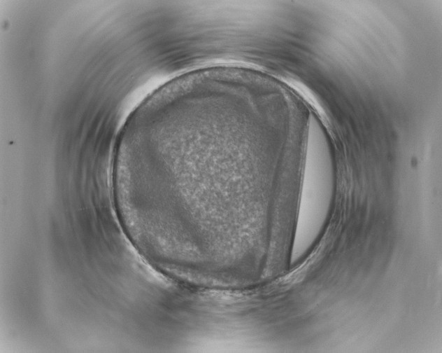 X0000087370910200705111707