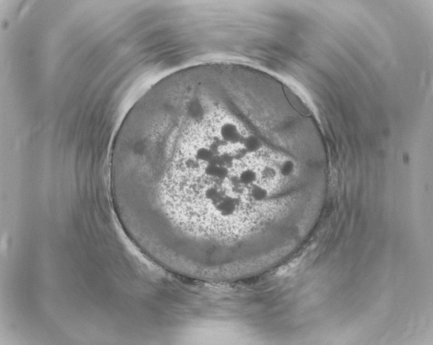 X0000087370911200705111707