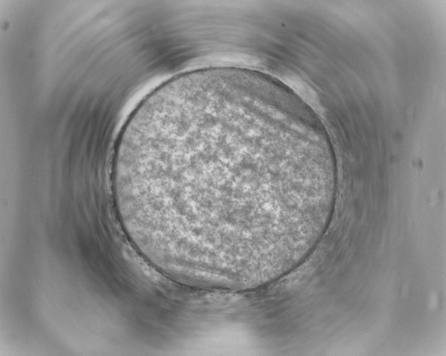 X0000087370912200705111707