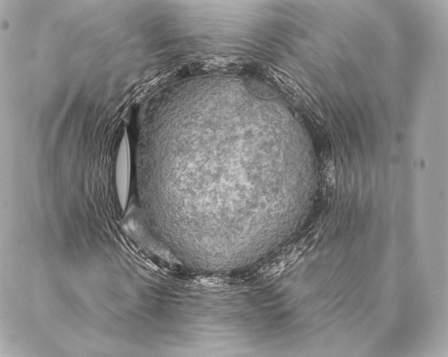 X0000087370914200705111706
