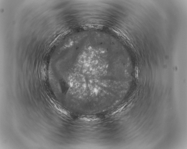 X0000087370915200705111706