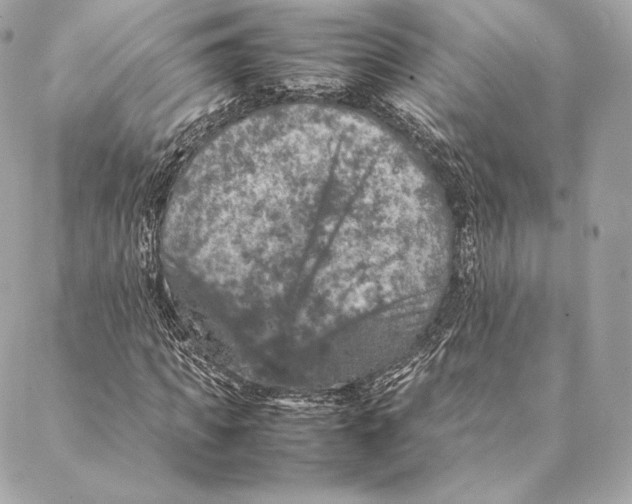 X0000087370917200705111706