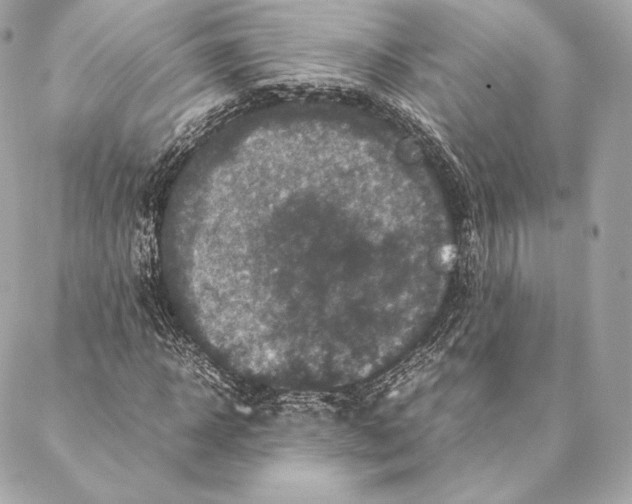 X0000087370918200705111706