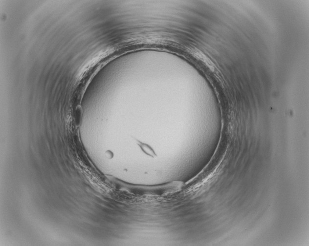 X0000087370922200705111706