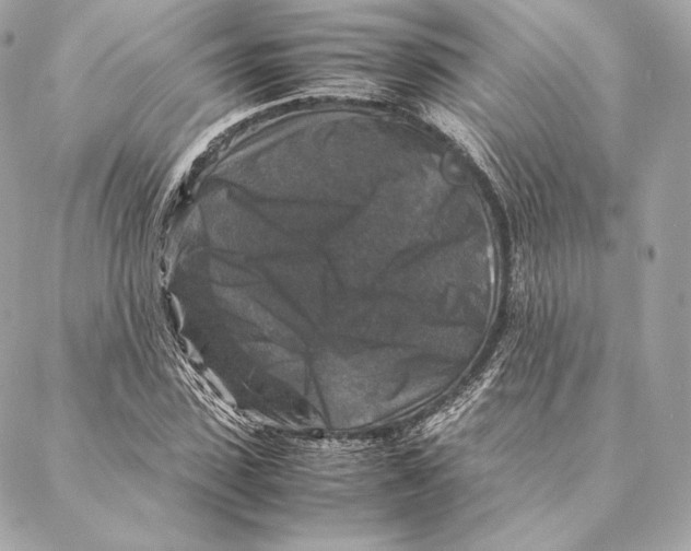 X0000087370923200705111706