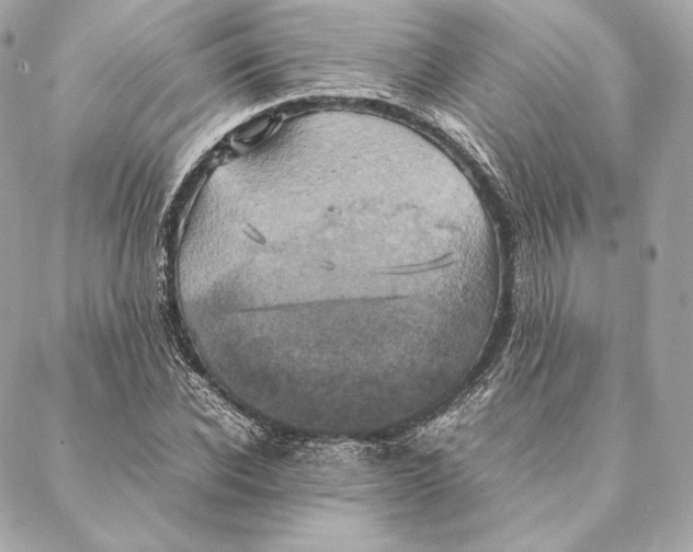 X0000087370926200705111706