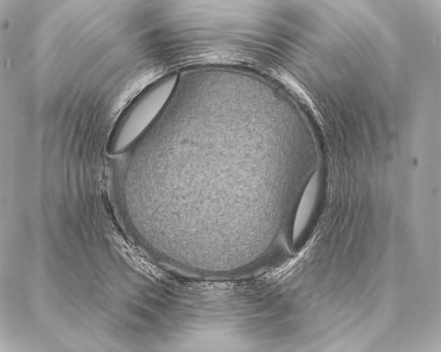 X0000087370930200705111706