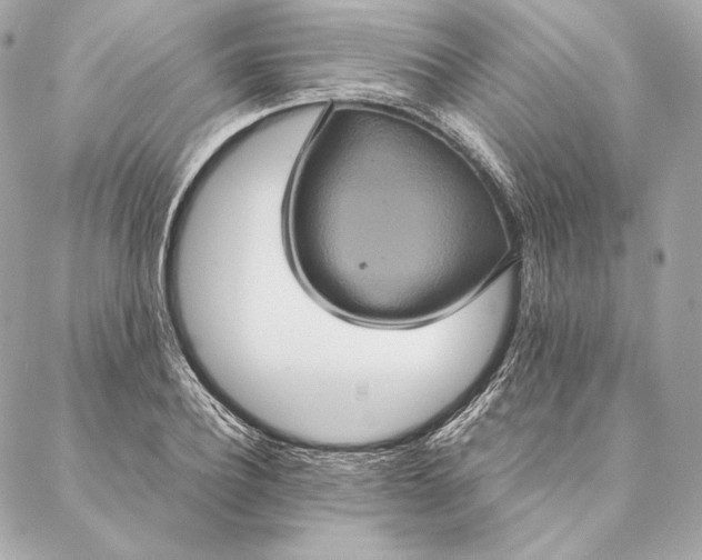 X0000087370932200705111706