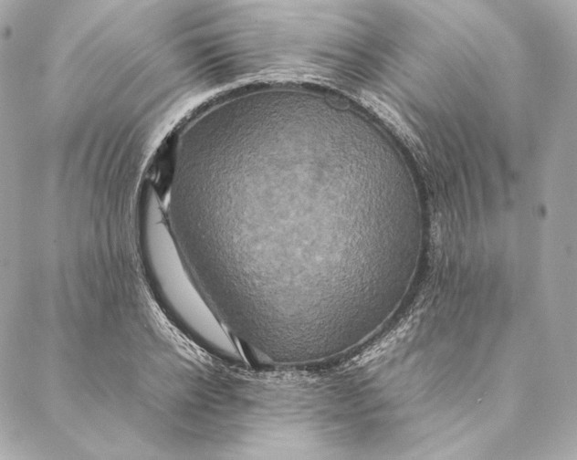 X0000087370934200705111706