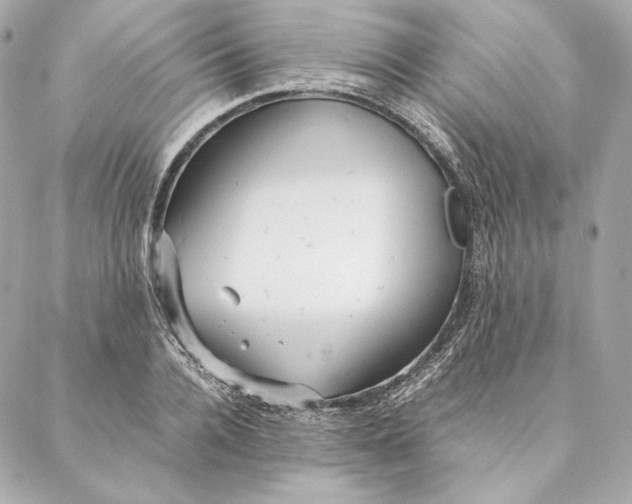 X0000087370936200705111707