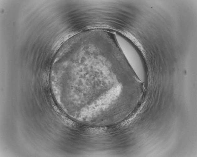 X0000087370937200705111707