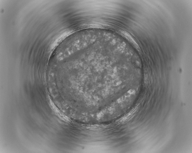 X0000087370938200705111707