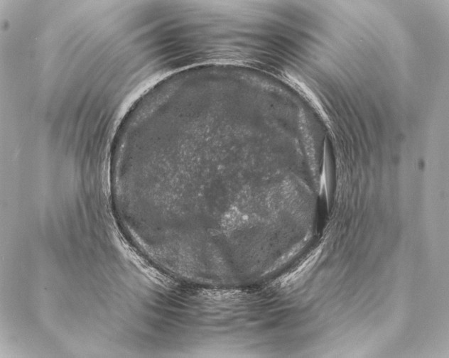 X0000087370939200705111707