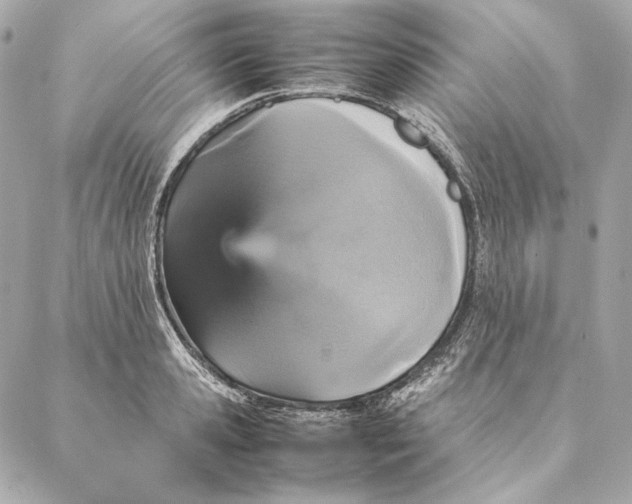 X0000087370941200705111707