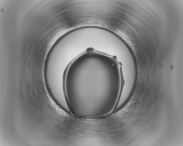 X0000087370942200705111707