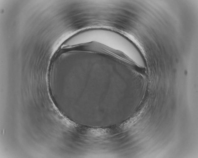 X0000087370943200705111707