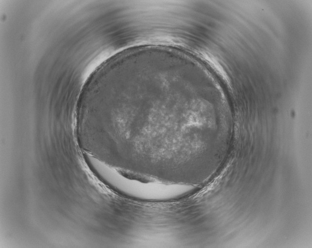 X0000087370944200705111707