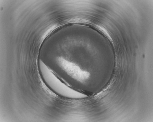 X0000087370946200705111707